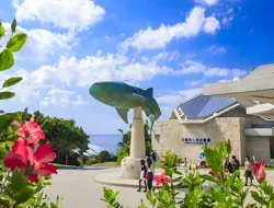 Okinawa Tokutoku Pass: 3 or 5 Attractions